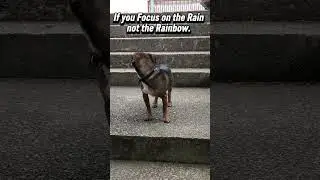 New Favourit Song! 😍🤩🥳🥳 KIJ-Focus on the Rain!