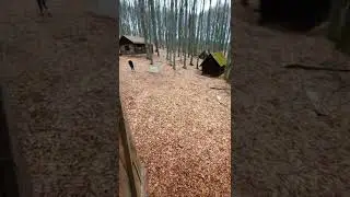 WW2 Partisan Hospital, Hidden Deep In Forest🏕🇭🇷 [Full Vid in comments] #shorts #short #ww2 #croatia
