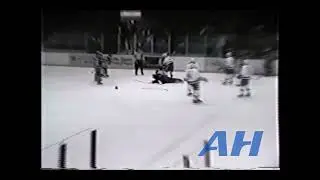 AHL Feb. 27, 1991 Paul Guay,CD v Scott Metcalfe,ROC Capital District Islanders Rochester Americans