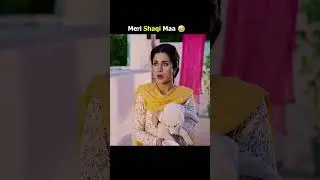 Meri 