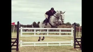 WINNING Gate jumping
