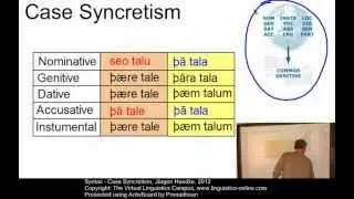 SYN129 - The Consequences of Case Syncretism