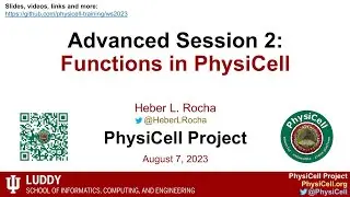 PhysiCell Workshop 2023 Advanced Session 2: Functions in PhysiCell