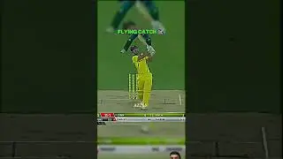 flying catch by shadab khan #cricket #cricketlover #cricketworldcup #cricketaddict #cricketenthusias