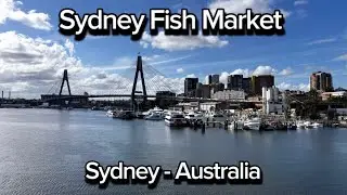 Sydney Fish Market - Sydney/Australia 