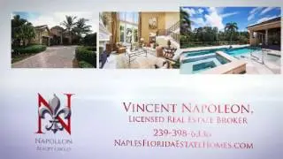 Napoleon Realty Group