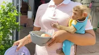 Mom Cuddle Lil DAM Alike Baby Human Take Him Eating Food In Yard