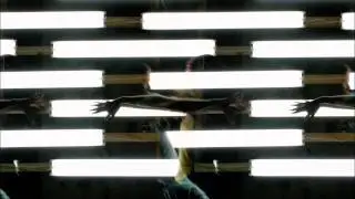 Fresh Produce - Solid Ground  (Extended Edit) Incepto Music