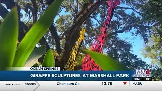 Giraffes pop up at temporary Ocean Springs art exhibit