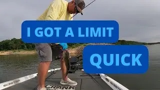 I got a quick limit of Bass doing this on Mark Twain Lake! 2 best lures in the summer for Beginners.