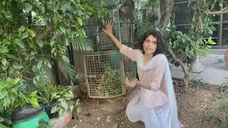 Leaf compost - Easy composting leaves and horticulture waste at home