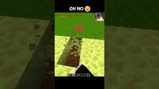 Ender Dragon in the Overworld 😱 | Minecraft (Credit: @ClementdavRuns )