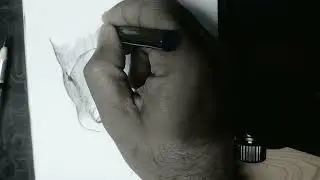 Save Birds Save Nature 🌿 | Easy Pencil Drawing