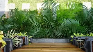 Nature 2BHK AC Villa - Trivandrum | Thiruvananthapuram, India | Hotel Review 🛏️