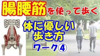 vol.1083 腸腰筋を使って歩く！痛みが出ない体に優しい歩き方とは？ワーク④