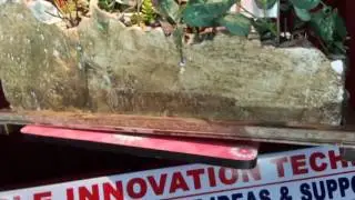 Watershed boulder and vegitative checks