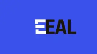Edeal Show - в прямом эфире про бизнес в США