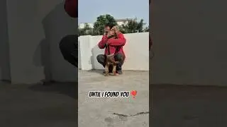 Until I Found You ❤️🐾 Dog Love That Heals #dogshorts