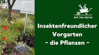 Pflanzplan für den insektenfreundlichen Vorgarten von Rüdiger Ramme