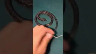unboxing a rubber snake#snake#rubbertoy