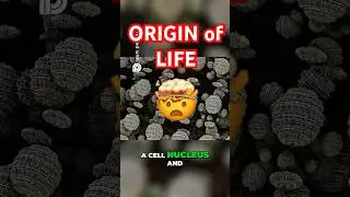 🧬 The SHOCKING origin of complex life! 🤯🌍