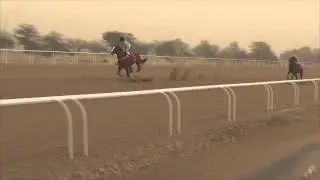 ازهلهم لإسطبل البرازي