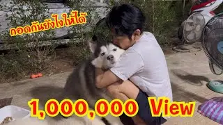 ตอนรับมาทีแรกบอกไม่รักให้เอาไปคืนตอนนี้ทั้งกอดทั้งหอมเลยนะ