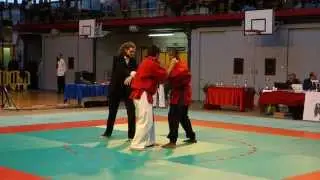 Tui Shou : French Championship 2014 (HD)