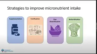 A Way Forward to Food Quality and Food Safety in Pakistan -International webinar