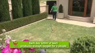 Spring/Summer Lawn Care Tips & How To Sow A New Lawn - 'In the Garden' with Kim Syrus