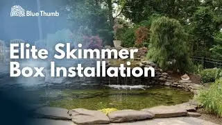 Elite Skimmer Box Installation &ndash; Step-by-Step Guide for Your Pond or Water Feature