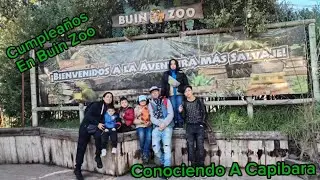Buin Zoo / CUMPLEAÑOS / Conociendo A Los Capibara