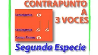 Contrapunto a 3 Voces Segunda Especie ESPAÑOL