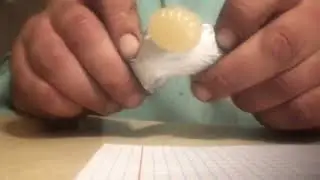 Candi ASMR opener