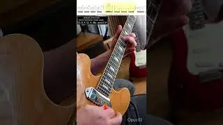 Guitar Exercise Opus 02 🎸🎸 #guitar #guitarsolo #guitarist