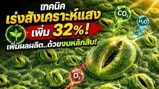 สูตรเร่งโต x2 🚀 เทคนิค 