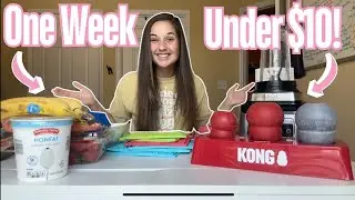 Weeks&rsquo; Worth of Dog Enrichment Treat Ideas Under $10!