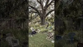 From Abandoned Backyard to Dream Treehouse | Stunning Night Transformation