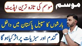 Punjab Weather Update: Rainfall After Long Drought | Impact on Wheat & Other Crops