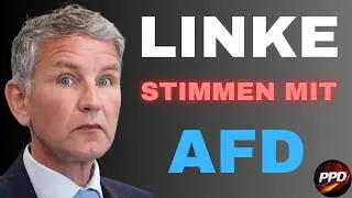 💥POLITBEBEN💥 Die Linke nehmen dankend die Stimmen der AFD! BRANDMAUER ZERF&Auml;LLT WEITER!
