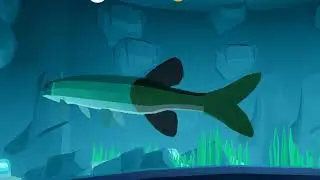 The Funny Fish