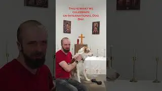 International Dog Day and Christian Devotion #liberalcatholic #christianshorts #catholicfaith