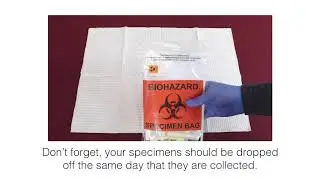 Segment 3   Rectal Sample