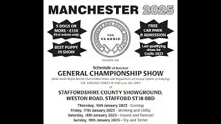 Manchester Dog Show Society Championship Show 2025 Day 4 Toy and Terier Groups and Best in Show