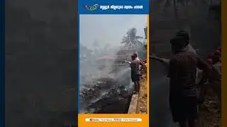 പേരാമ്പ്രയിൽ പാടത്ത് തീപിടുത്തം | #fire #thrissurnews #thrissur #tcv