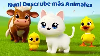 Nuni Descubre M&aacute;s Animales &ndash; Moo, Cuac, P&iacute;o 😻🎵 Canciones Infantiles #gatitonuni