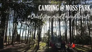 Year 1 - Journey 6 | Camping at Moss Park