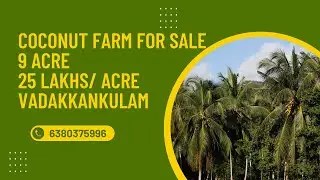 🌴 திருநெல்வேலி அருகே 9 ஏக்கர் லாபகரமான தென்னந்தோப்பு விற்பனைக்கு! 🌴  #kanyakumariproperty