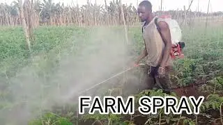 MOTORIZED SPRAYER (@AGROMACHINES @SIMPLEMACHINE @CHINAMACHINERY @INDIANFARMS