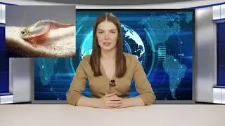 Щитни   Выпуск Вики